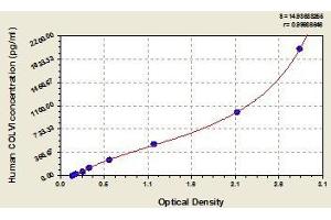 Typical standard curve