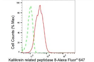 anti-Kallikrein 8 (KLK8) antibody