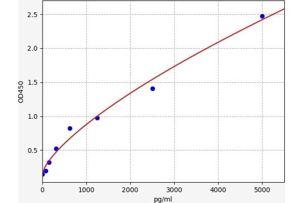 TR4 ELISA 试剂盒