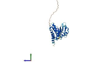 AlphaFold protein structure predicition of Human Recombinant PNO1 Protein, UniprotID Q9NRX1