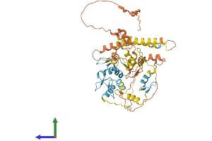 Protein Structure (PS) image for Zinc Finger Protein 655 (ZNF655) (AA 1-491) protein (His tag) (ABIN7545484)