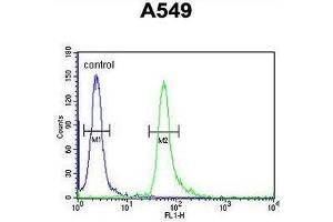 TAGAP Antibody (Center) flow cytometric analysis of A549 cells (right histogram) compared to a negative control cell (left histogram).