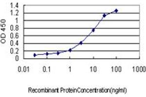 Detection limit for recombinant GST tagged RAPGEF2 is approximately 0. (RAPGEF2 抗体  (AA 1398-1487))