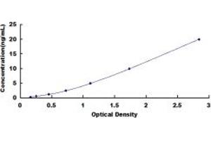 Typical standard curve (NONO ELISA 试剂盒)