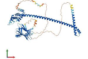 Protein Structure (PS) image for Acyl-CoA Binding Domain Containing 3 (Acbd3) (AA 1-528) protein (His tag) (ABIN7547934)