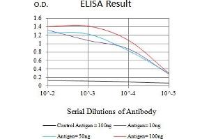 Black line: Control Antigen (100 ng),Purple line: Antigen (10 ng), Blue line: Antigen (50 ng), Red line:Antigen (100 ng) (CD34 抗体  (AA 32-290))