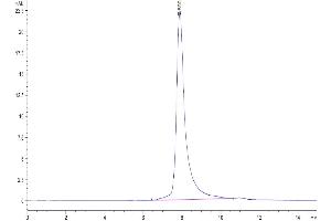 Size-exclusion chromatography-High Pressure Liquid Chromatography (SEC-HPLC) image for Transferrin Receptor (p90, CD71) (TFRC) (AA 89-760) protein (His-Avi Tag) (ABIN7275702)