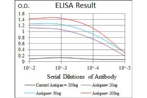 Red: Control Antigen (100ng) ; Purple: Antigen (10ng) ; Green: Antigen (50ng) ; Blue: Antigen (100ng). (Moesin 抗体)