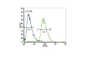 CACNA2D3 Antibody (C-term) (ABIN653695 and ABIN2843014) flow cytometric analysis of HepG2 cells (right histogram) compared to a negative control cell (left histogram). (CACNA2D3 抗体  (C-Term))