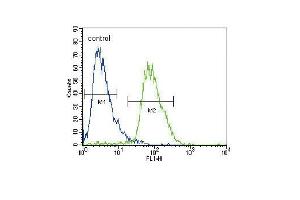 Flow Cytometry (FACS) image for anti-Calcium Channel, Voltage-Dependent, alpha 2/delta Subunit 3 (CACNA2D3) (AA 1026-1053), (C-Term) antibody (ABIN653695)