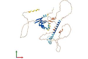 AlphaFold protein structure predicition of Mouse Recombinant Foxp3 Protein, UniprotID Q99JB6