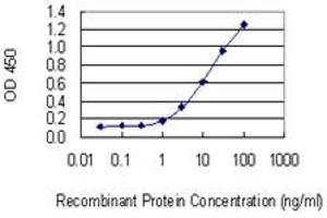 Detection limit for recombinant GST tagged C1orf57 is 0. (C1orf57 抗体  (AA 91-190))