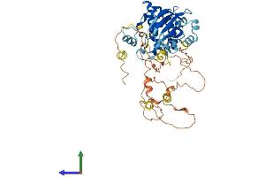 AlphaFold protein structure predicition of Human Recombinant NEK3 Protein, UniprotID P51956
