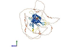 AlphaFold protein structure predicition of Human Recombinant SIM2 Protein, UniprotID Q14190
