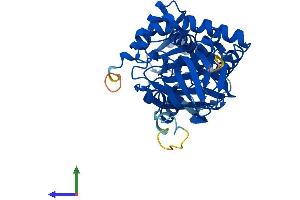 Protein Structure (PS) image for Pipecolic Acid Oxidase (PIPOX) (AA 1-390) protein (His tag) (ABIN7546199)