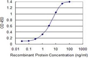 Detection limit for recombinant GST tagged ULK2 is 0. (ULK2 抗体  (AA 743-843))
