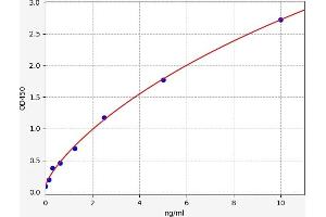 Typical standard curve (SULT2A1 ELISA 试剂盒)