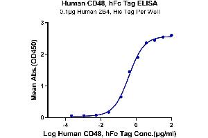 ELISA image for CD48 (CD48) (AA 27-220) protein (Fc Tag) (ABIN7275621)