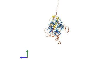 Protein Structure (PS) image for Zinc Finger Protein 529 (ZNF529) (AA 1-563) protein (His tag) (ABIN7545665)