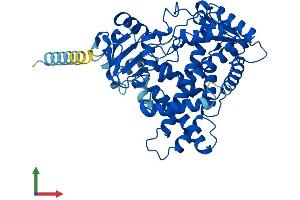 Protein Structure (PS) image for Cytochrome P450, Family 2, Subfamily C, Polypeptide 18 (CYP2C18) (AA 1-490) protein (His tag) (ABIN7546732)