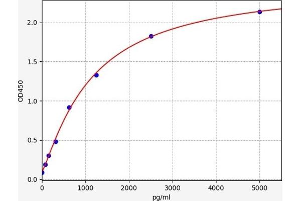 TTF2 ELISA 试剂盒