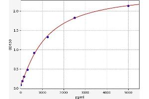 Typical standard curve (TTF2 ELISA 试剂盒)