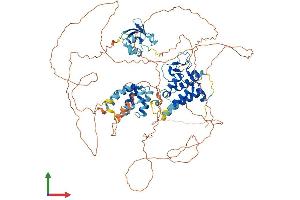 Protein Structure (PS) image for SP140 Nuclear Body Protein (SP140) (AA 1-867) protein (His tag) (ABIN7555599)