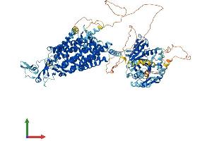 Protein Structure (PS) image for Solute Carrier Family 12 (Potassium-Chloride Transporter) Member 6 (SLC12A6) (AA 1-1150) protein (His tag) (ABIN7555293)