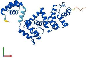 AlphaFold protein structure predicition of Human Recombinant DCUN1D2 Protein, UniprotID Q6PH85