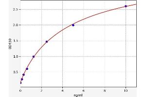 Typical standard curve (NAT8L ELISA 试剂盒)