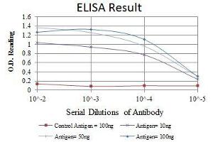 ELISA image for anti-Heat Shock Protein 90kDa alpha (Cytosolic), Class B Member 1 (HSP90AB1) antibody (ABIN969202)