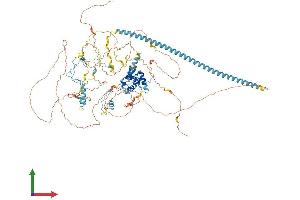 AlphaFold protein structure predicition of Mouse Recombinant Chaf1a Protein, UniprotID Q9QWF0 (CHAF1A Protein (AA 1-911) (His tag))