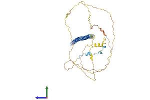 Protein Structure (PS) image for Activating Transcription Factor 4 (Tax-Responsive Enhancer Element B67) (ATF4) (AA 1-349) protein (His tag) (ABIN7563605)