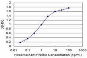 Detection limit for recombinant GST tagged TAOK3 is approximately 0. (TAO Kinase 3 抗体  (AA 809-898))