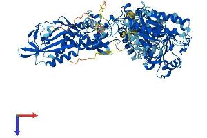 AlphaFold protein structure predicition of Human Recombinant SLFN13 Protein, UniprotID Q68D06