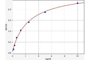 Aquaporin 4 ELISA 试剂盒