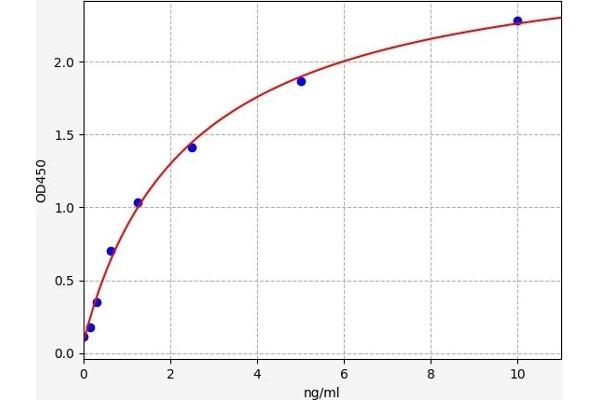 Aquaporin 4 ELISA 试剂盒