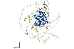AlphaFold protein structure predicition of Human Recombinant HDAC7 Protein, UniprotID Q8WUI4
