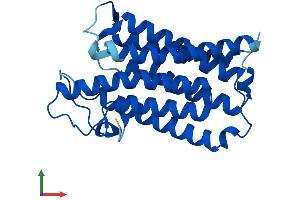 AlphaFold protein structure predicition of Mouse Recombinant Srd5a1 Protein, UniprotID Q68FF9