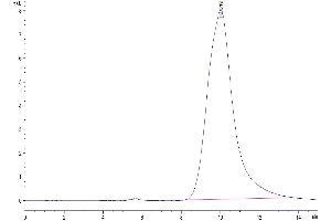 Size-exclusion chromatography-High Pressure Liquid Chromatography (SEC-HPLC) image for Kallikrein B, Plasma (Fletcher Factor) 1 (KLKB1) (AA 20-638) protein (His tag) (ABIN7275096)