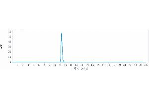 anti-Leukemia Inhibitory Factor (LIF) antibody