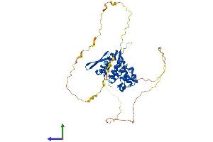 Protein Structure (PS) image for Sex Comb On Midleg-Like 4 (SCML4) (AA 1-414) protein (His tag) (ABIN7545861)