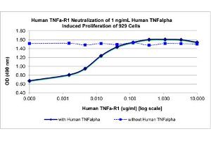 SDS-PAGE of Human Tumor Necrosis Factor Receptor Type 1 Recombinant Protein Bioactivity of Human Tumor Necrosis Factor Receptor Type 1 Recombinant Protein. (TNFRSF1A 蛋白)