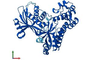 Protein Structure (PS) image for Galactokinase 2 (GALK2) (AA 1-458) protein (His tag) (ABIN7557882)
