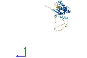 AlphaFold protein structure predicition of Mouse Recombinant Fra10ac1 Protein, UniprotID Q8BP78