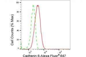 Flow cytometric analysis of Cadherin 6 expression in HT- cells using Cadherin 6 antibody (ABIN7799153), 1:2,000).