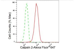 Flow cytometric analysis of Calpain 2 expression in HT- cells using Calpain 2 antibody (ABIN7797847), 1:2,000). (Recombinant Calpain 2 抗体)