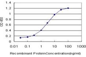 Detection limit for recombinant GST tagged MGC13096 is approximately 0. (PDCD2L 抗体  (AA 80-179))