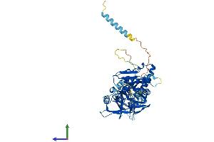 Protein Structure (PS) image for beta-1,4-N-Acetyl-Galactosaminyl Transferase 1 (B4GALNT1) (AA 1-533) protein (His tag) (ABIN7556933)
