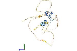 Protein Structure (PS) image for ZFP36 Ring Finger Protein-Like 1 (ZFP36L1) (AA 1-338) protein (His tag) (ABIN7544558)